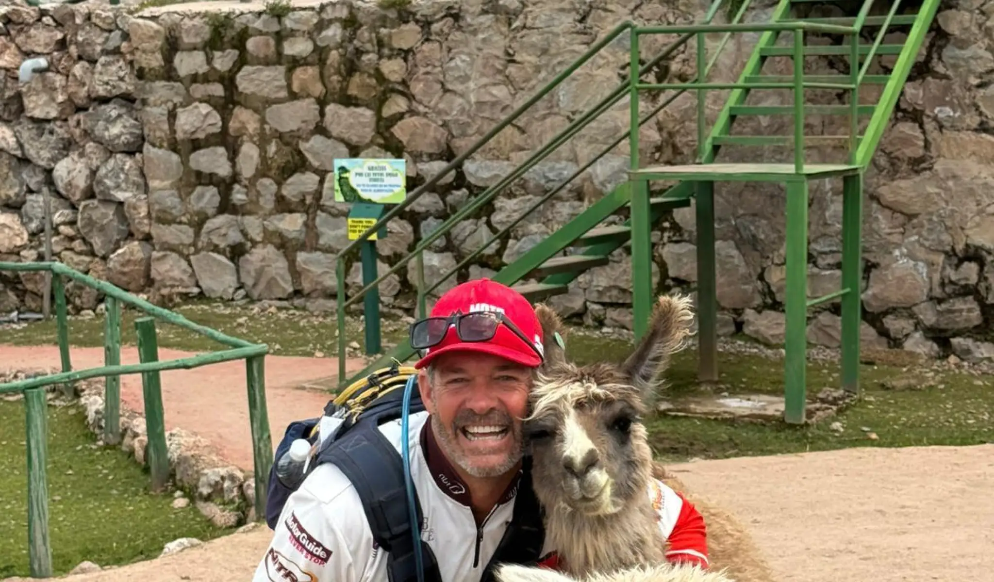 Alpaca friendly cusco peru