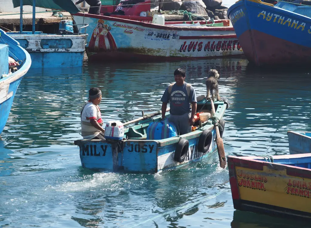 Fisherman boat dog peru
