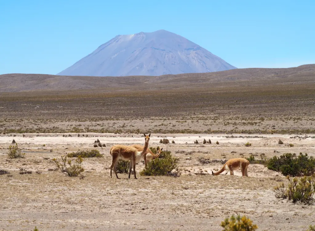 volcano-peru-misty-motoamigos