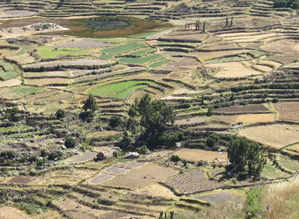 terraced-landscapes-peru-motorcycle-adventures