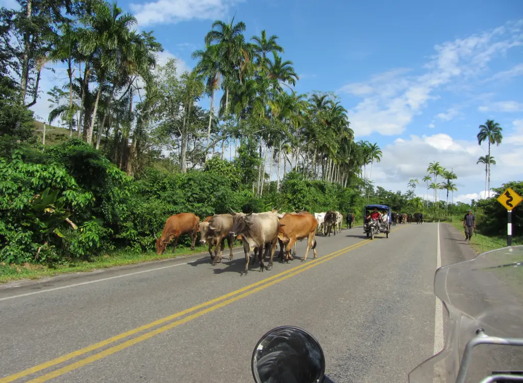 amazon-roads-peru-motoamigos