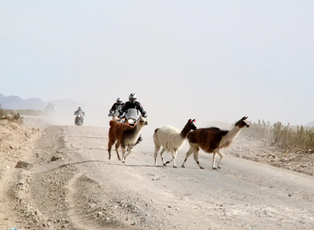 224 Camino de Uyuni a Potosi 54
