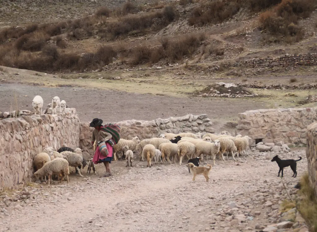 Camino de Uyuni a Potosi 53